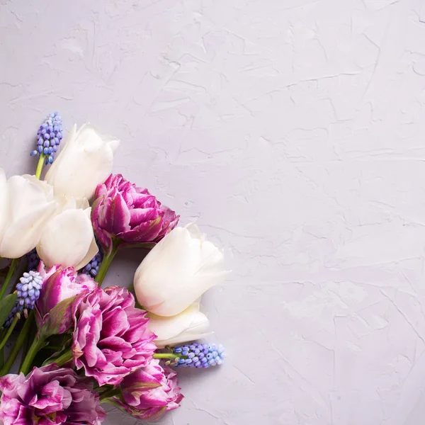 Ljusa tulpaner blommor — Stockfoto