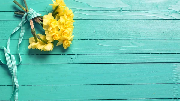 Fresh yellow daffodils flowers — Stock Photo, Image