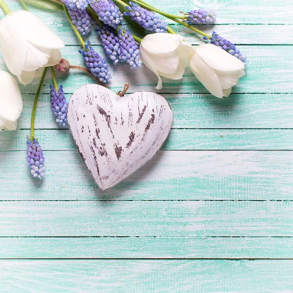 Білі тюльпани та декоративне серце — стокове фото