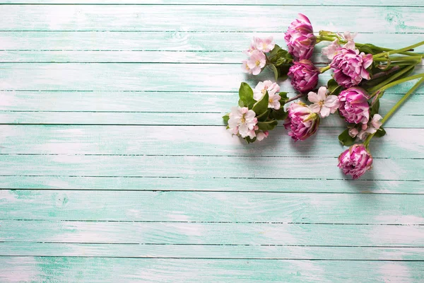 Tulpen Blumen und Apfelbaumblüten — Stockfoto
