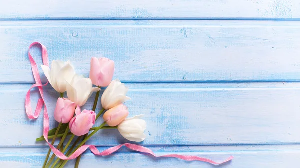 Lente tulpen en roze lint — Stockfoto