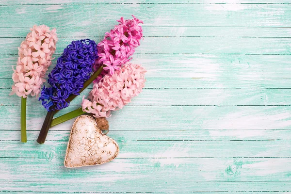 Hyazinthen Blumen und dekorative Herzen — Stockfoto