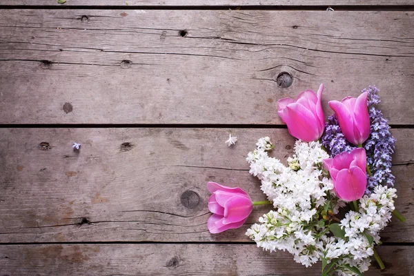 Flores de tulipanes lila y rosa — Foto de Stock