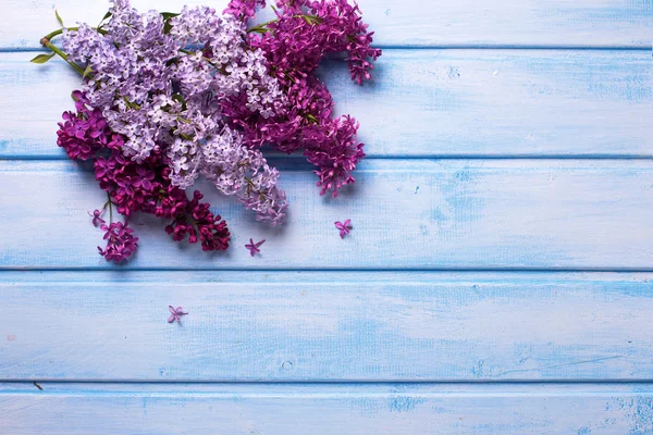 Frische aromatische Fliederblüten — Stockfoto