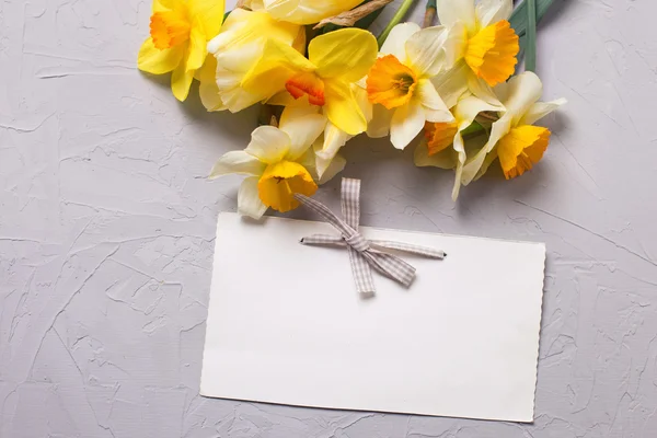 Tulips flowers and empty tag — Stock Photo, Image