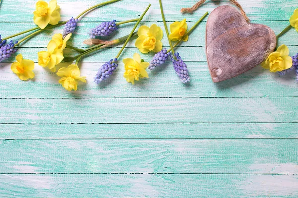 Corazón decorativo y flores de primavera — Foto de Stock