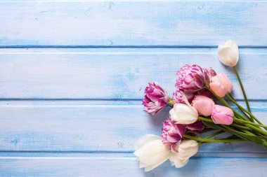 bahar beyaz ve pembe laleler