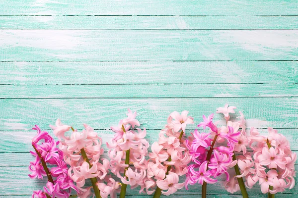 Fondo con flores rosadas frescas —  Fotos de Stock