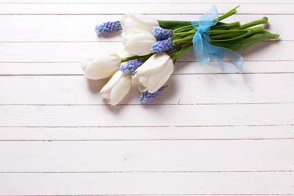 White tulips and blue muscaries flowers — Stock Photo, Image