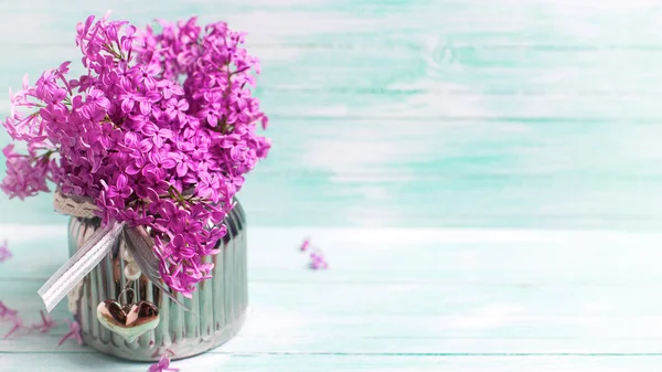 Lila bloemen in vaas — Stok fotoğraf