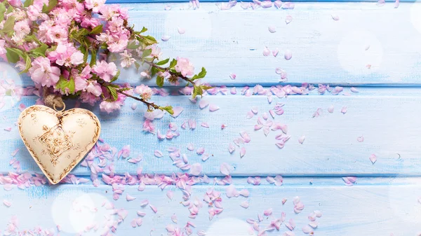 Fiori di sakura rosa e cuore decorativo — Foto Stock