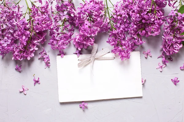 Lilac flowers and empty tag — Stock Photo, Image