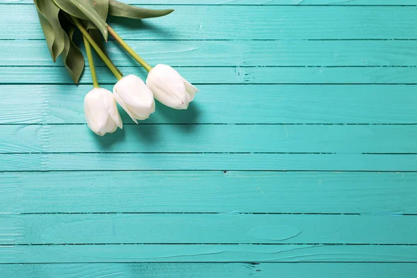 Tulipes blanches sur planches de bois — Photo
