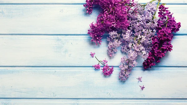 Fresh aromatic lilac flowers — Stock Photo, Image