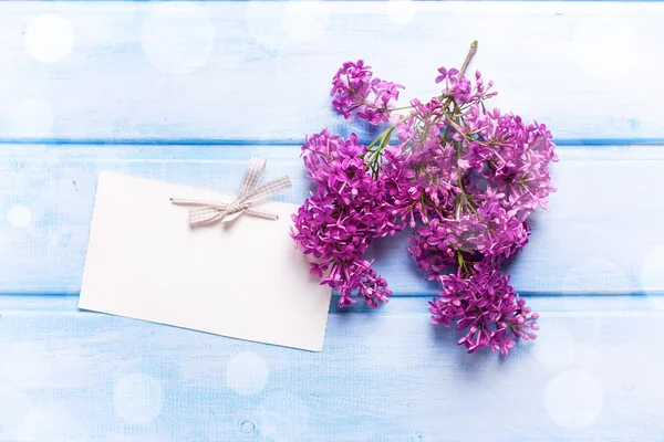 Verse lila bloemen en lege tag — Stockfoto