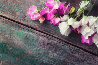 Tatlı bezelye çiçekler