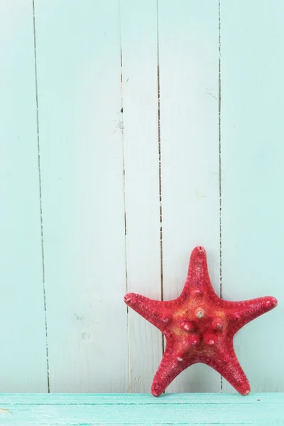 Sea star — Stockfoto