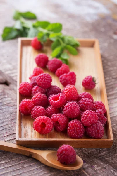 Fresh organic raspberries — Stock Photo, Image