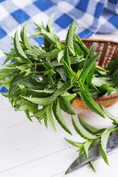 Peppermint Hijau Segar — Stok Foto