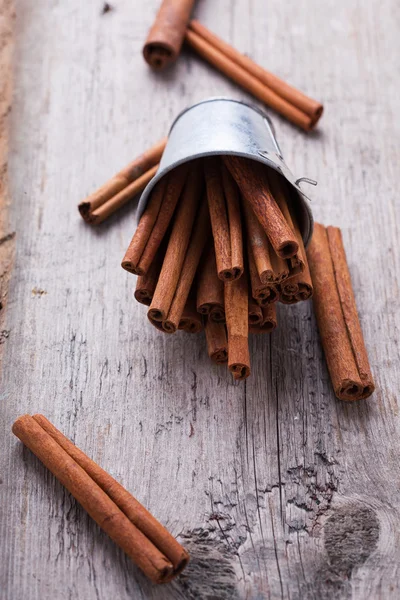 Group of spaces with cinnamon — Stock Photo, Image