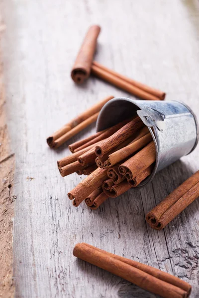 Group of spaces with cinnamon — Stock Photo, Image