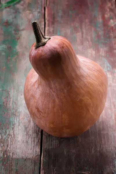 Fresh raw pumpkin — Stock Photo, Image