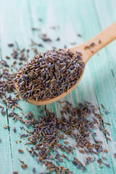 Dry lavender — Stock Photo, Image