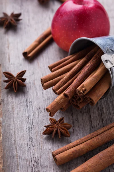 Group of spaces with cinnamon and anise — Stock Photo, Image