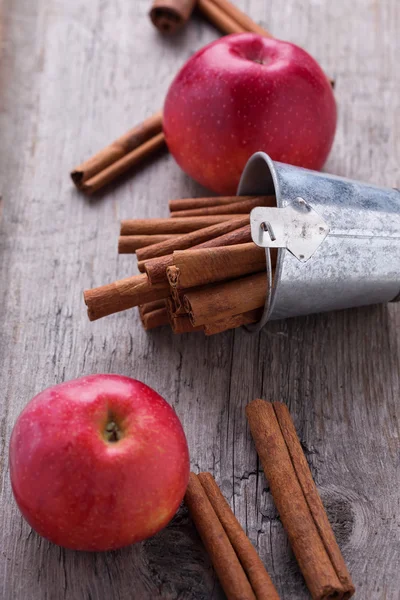 Group of spaces with cinnamon — Stock Photo, Image