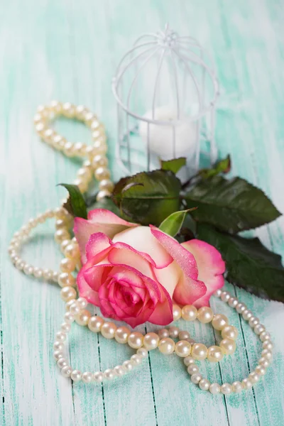 Postcard with elegant  flower — Stock Photo, Image