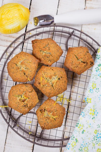 Muffins med citron — Stockfoto