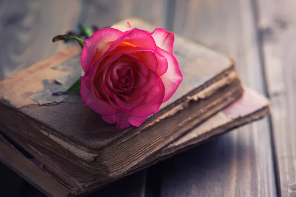 Rosenblüte auf alten Büchern — Stockfoto