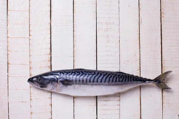 Pesce sardina crudo — Foto Stock