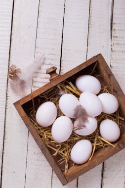 Organik beyaz yumurta kutusunda