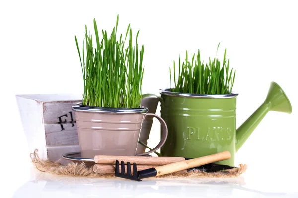 Garden tools snd grass in pots — Stock Photo, Image