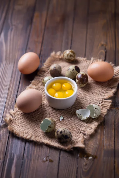 Codorniz y huevos de pollo —  Fotos de Stock