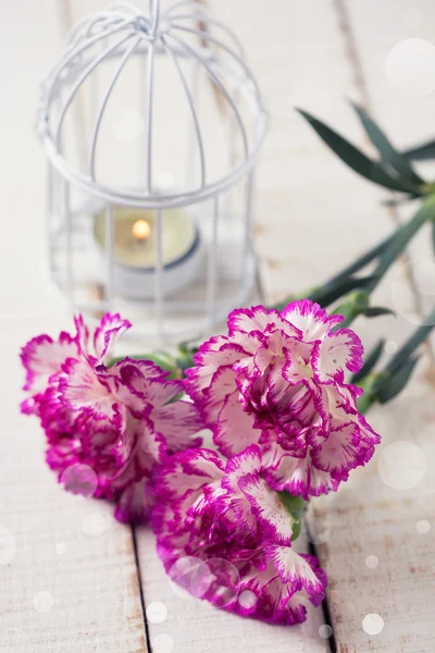 Postcard with elegant carnations flowers — Stock Photo, Image
