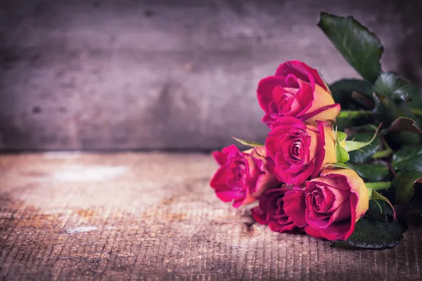 Bellissimi fiori rose — Foto Stock