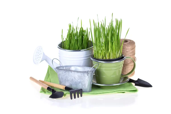 Grass in pots and garden tools isolated — Stock Photo, Image