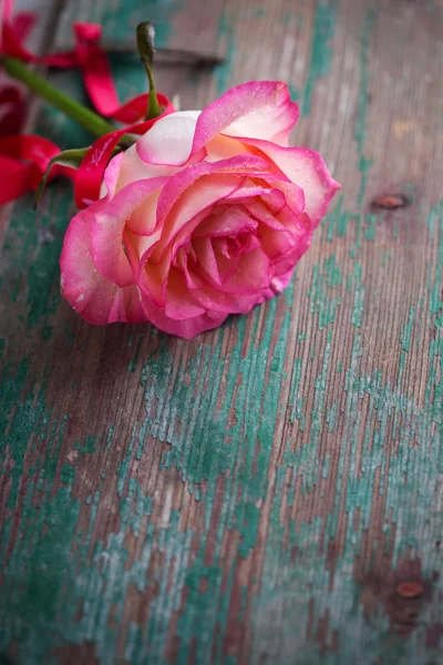 Blume Rose auf Holz Hintergrund — Stockfoto