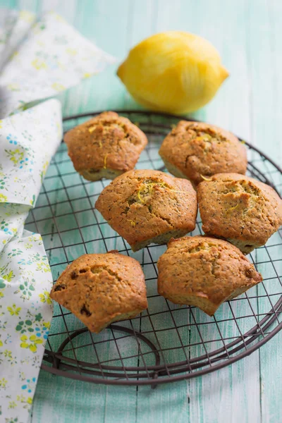 Muffins med citron — Stockfoto