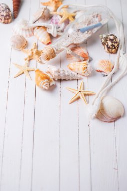 ahşap zemin üzerinde deniz öğeler. 