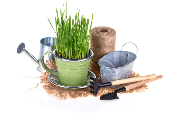 Grass in pot and garden tools isolated — Stock Photo, Image