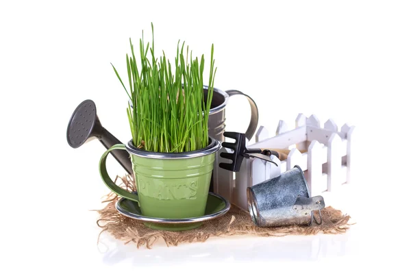 Trawa w puli i na białym tle narzędzia ogrodowe — Zdjęcie stockowe