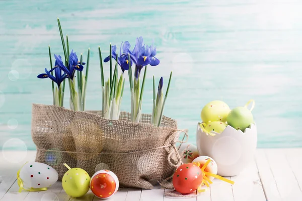 Flores de primavera brilhantes em pote — Fotografia de Stock