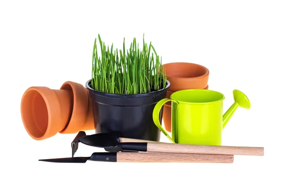 Grass in pot en tuin tools — Stockfoto