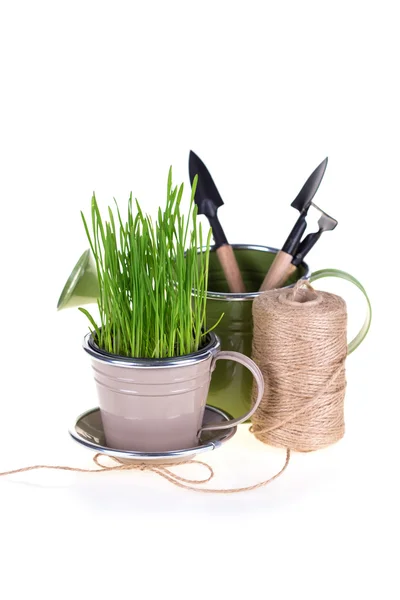 Grass in pot and garden tools — Stock Photo, Image