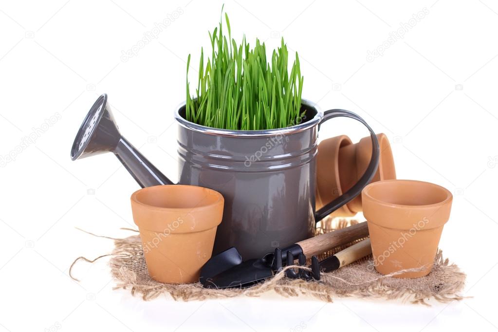 Watering can, pots and garden tools