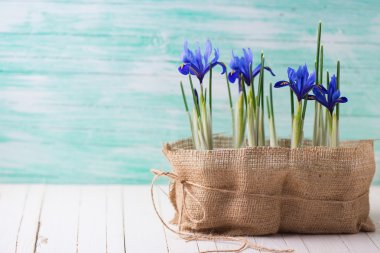 Bahar çiçekli kartpostal