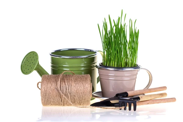 Rumput dalam pot dan alat-alat kebun — Stok Foto
